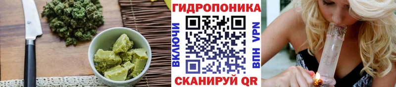 Купить где  Лебедянь  Canna-Cookies конопля 