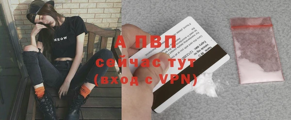 амф Зеленокумск