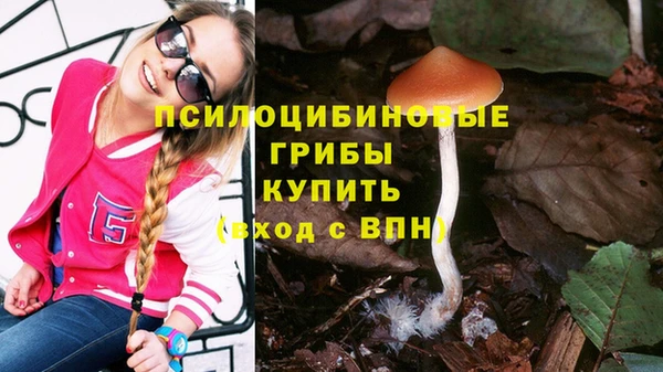 MDMA Premium VHQ Зеленодольск
