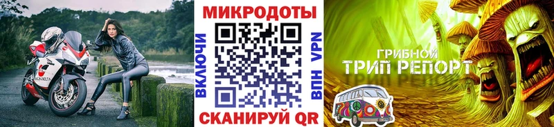 Псилоцибиновые грибы прущие грибы  Купить закладки  Лебедянь 