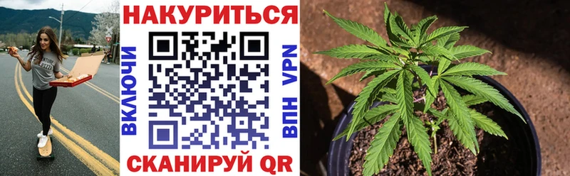 Канабис SATIVA & INDICA  Купить закладки  Лебедянь 